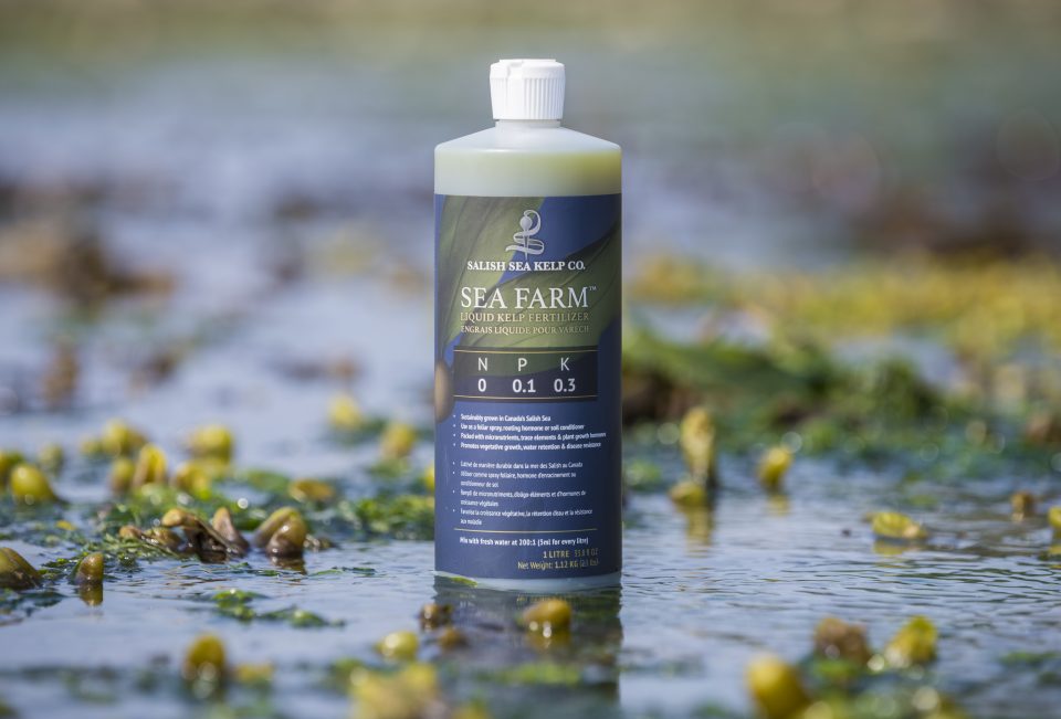 SEA FARM Liquid Kelp Fertilizer - Sea Forest